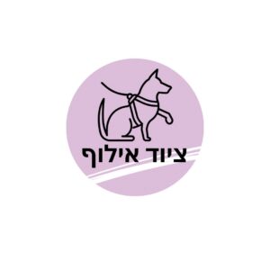 ציוד אילוף